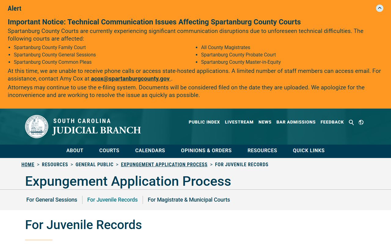 Hampton County criminal court records juvenile expungement